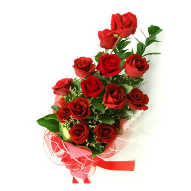 Folle Amore (Rose rosse a scalare)