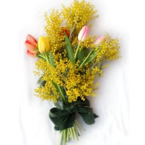 Otto Marzo (Bouquet di mimose e tulipani)