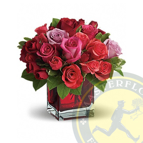 Pensiero Rosa - Rose rosse e rosa in vaso